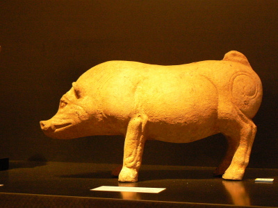 Chinese pig