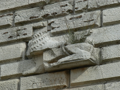 lion remnant of relief