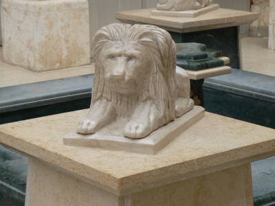 lion