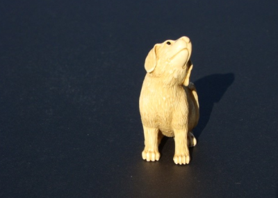 mammoth ivory dog