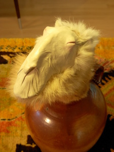 Warm table (with smug camel and happy camel)