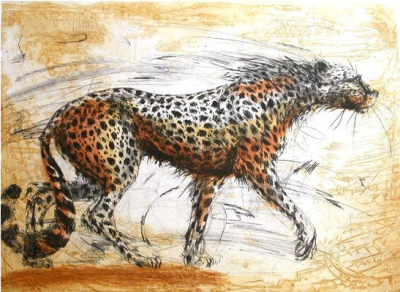 cheetah etching